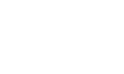 elite writers